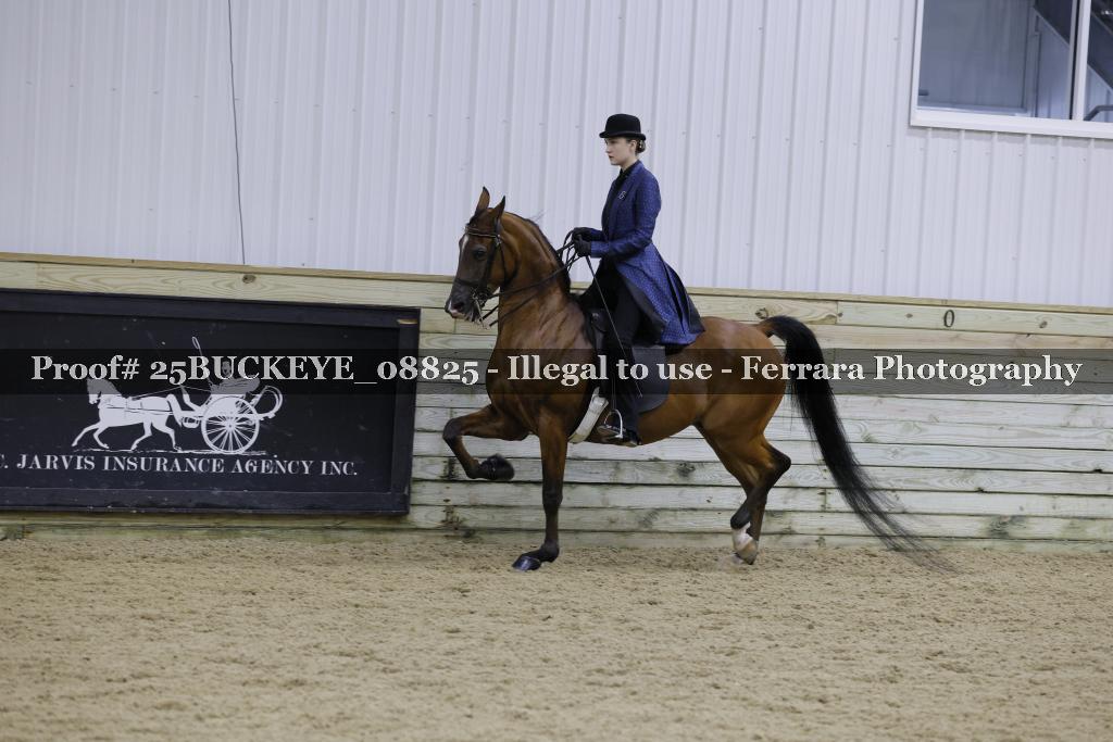 Proof Number 25BUCKEYE_08825