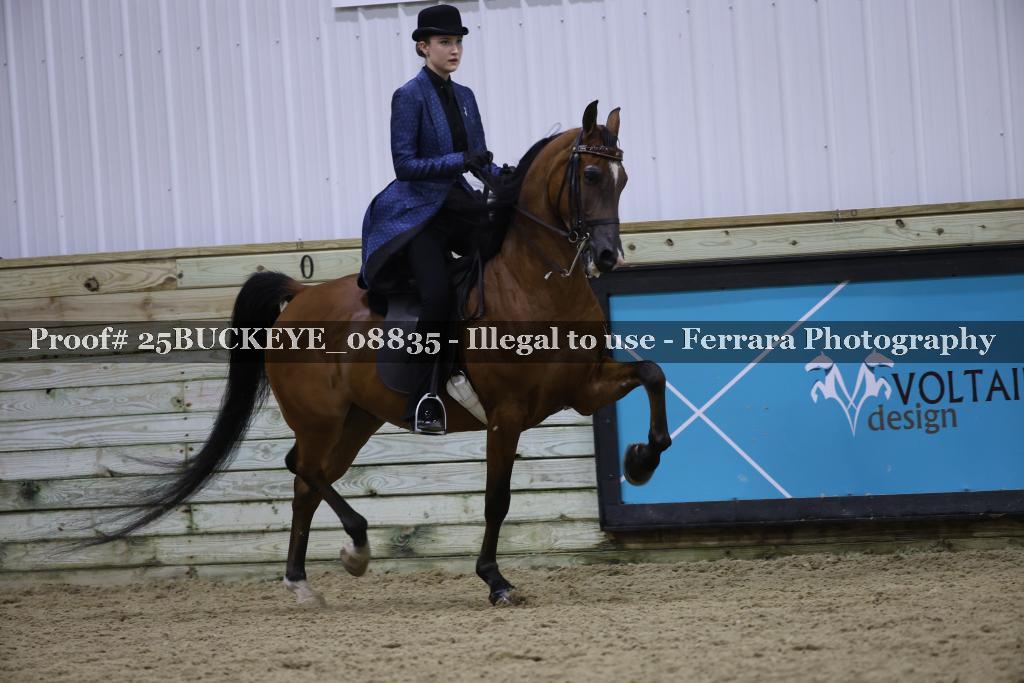 Proof Number 25BUCKEYE_08835
