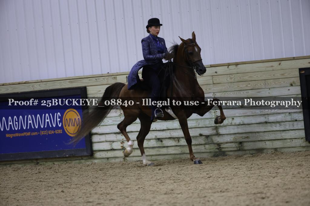 Proof Number 25BUCKEYE_08840