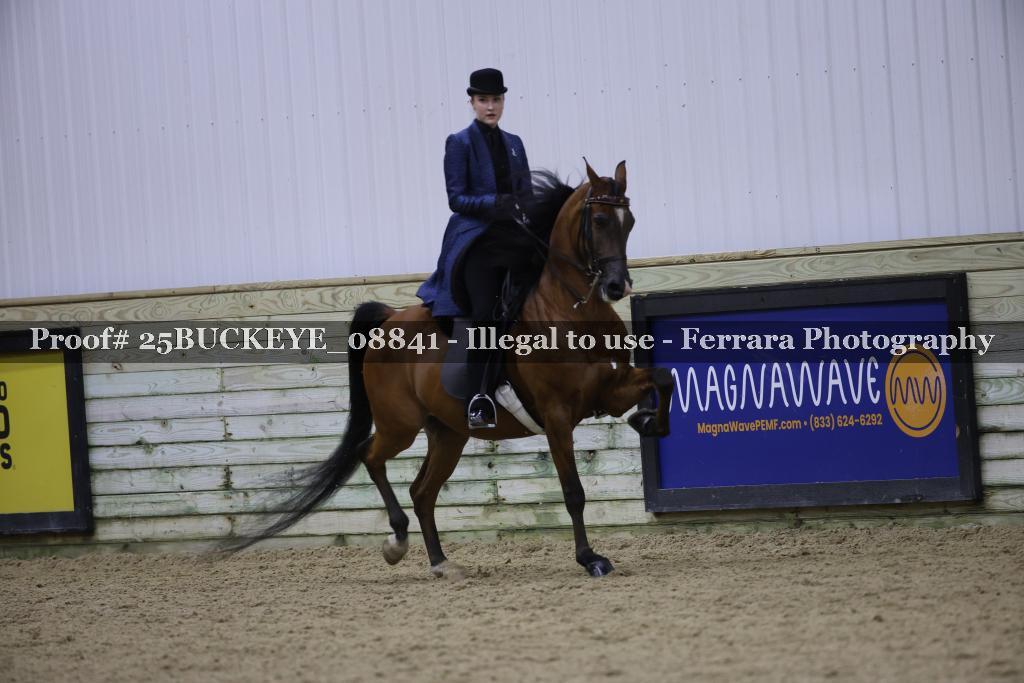 Proof Number 25BUCKEYE_08841