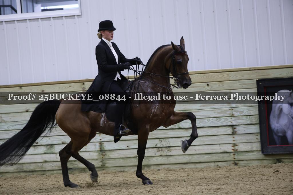 Proof Number 25BUCKEYE_08844