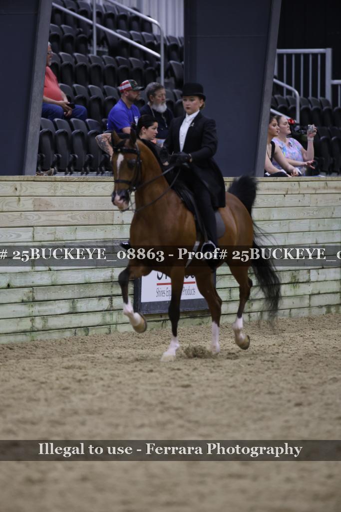 Proof Number 25BUCKEYE_08863