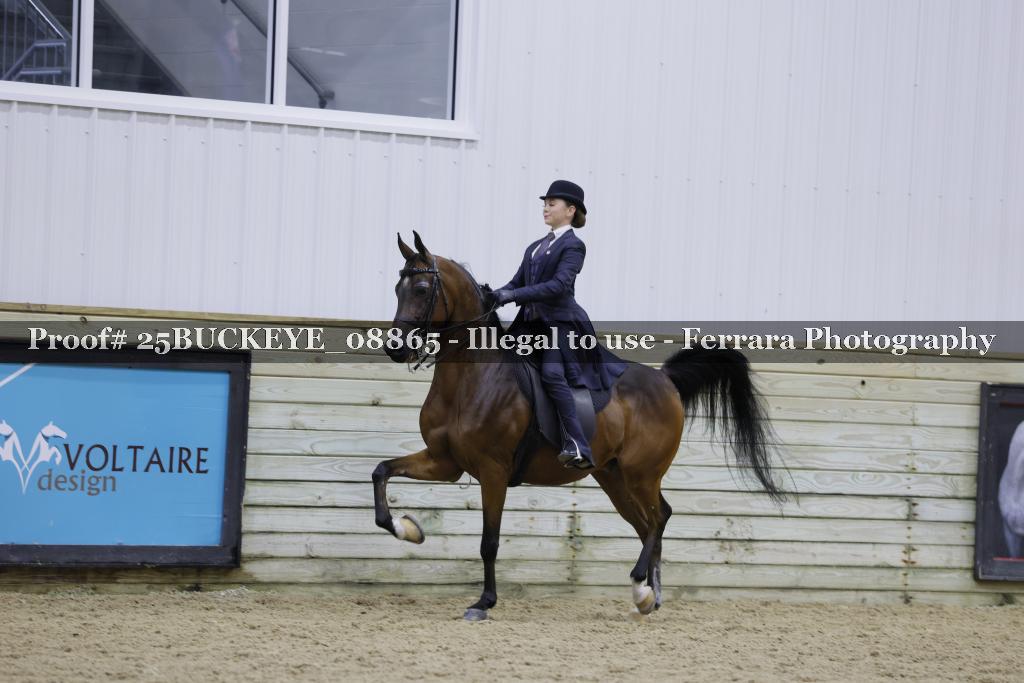 Proof Number 25BUCKEYE_08865