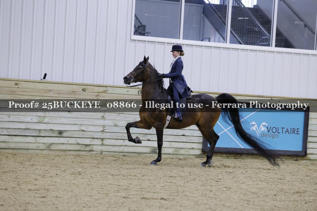 Proof Number 25BUCKEYE_08866