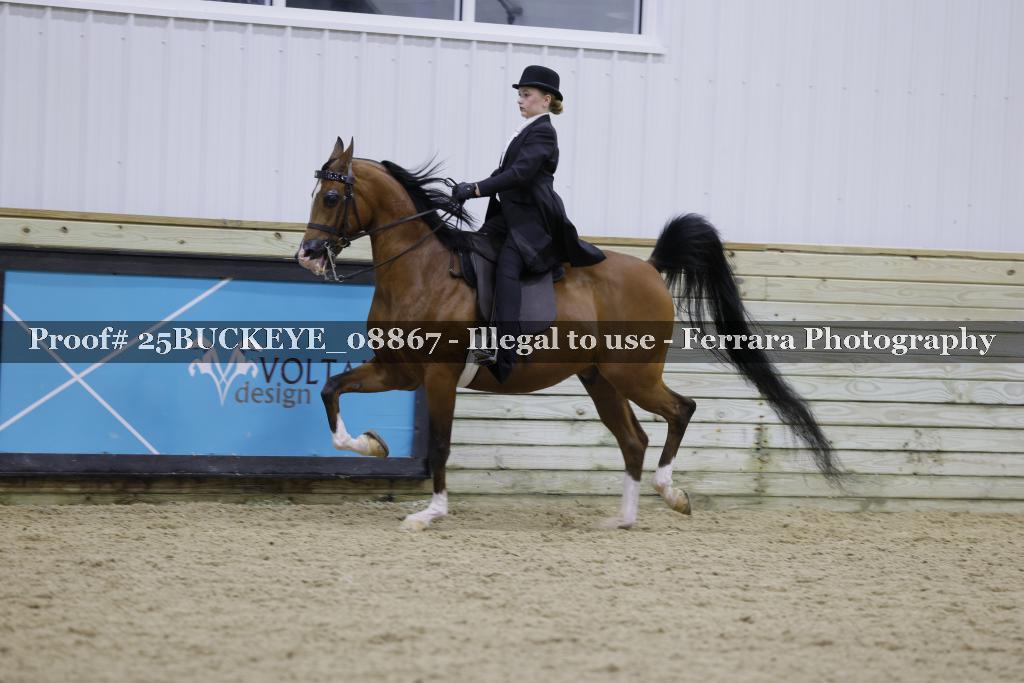 Proof Number 25BUCKEYE_08867