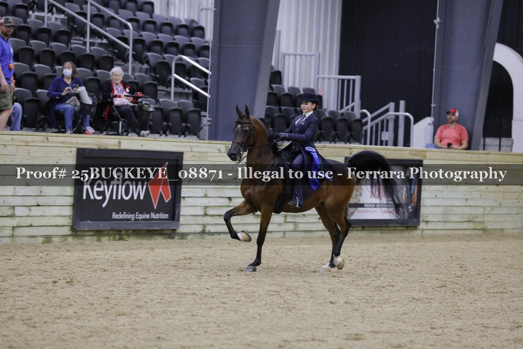 Proof Number 25BUCKEYE_08871