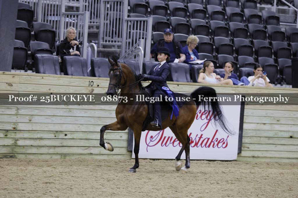 Proof Number 25BUCKEYE_08873