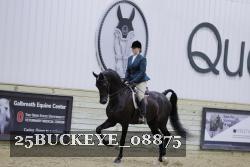 25BUCKEYE_08875 thumbnail