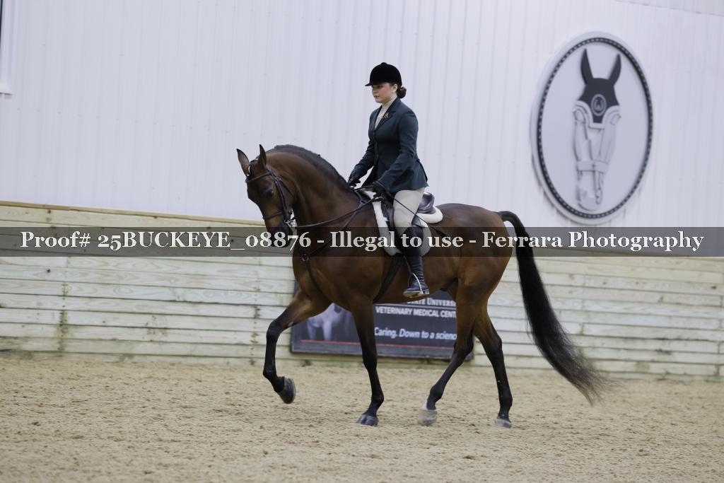 Proof Number 25BUCKEYE_08876