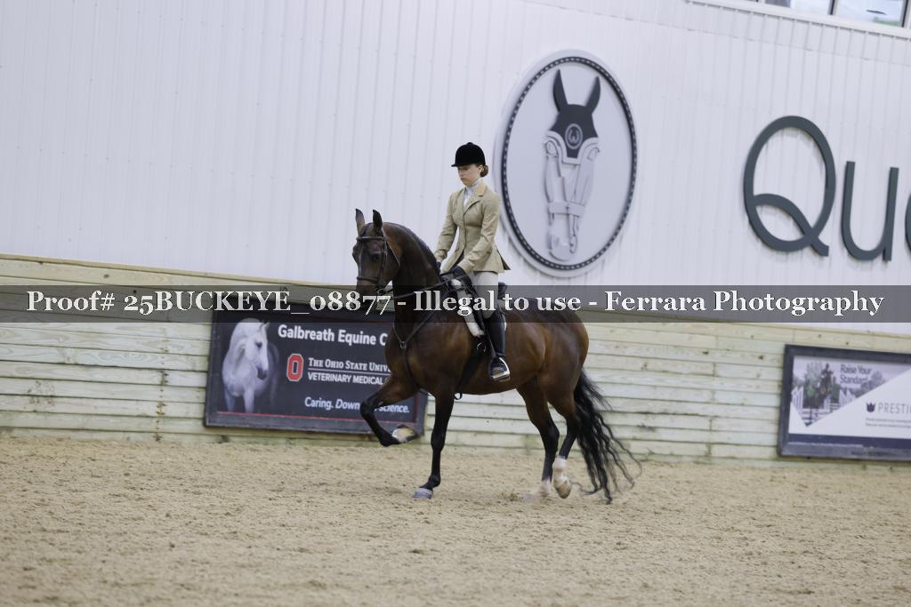 Proof Number 25BUCKEYE_08877