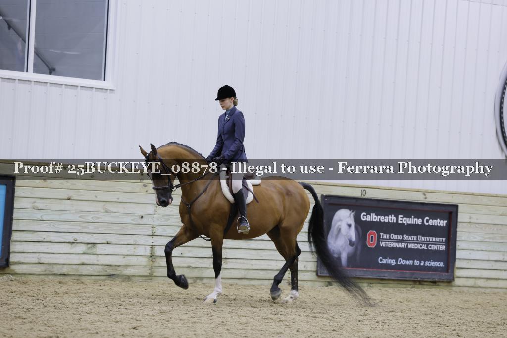 Proof Number 25BUCKEYE_08878