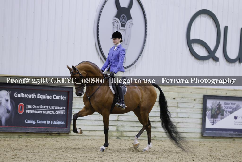 Proof Number 25BUCKEYE_08880