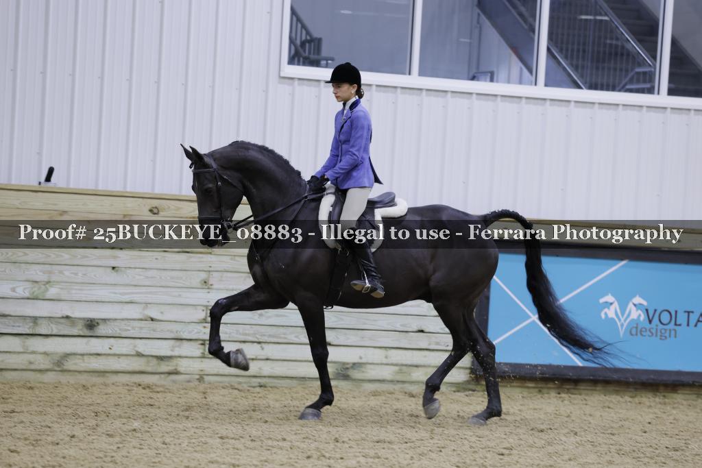 Proof Number 25BUCKEYE_08883