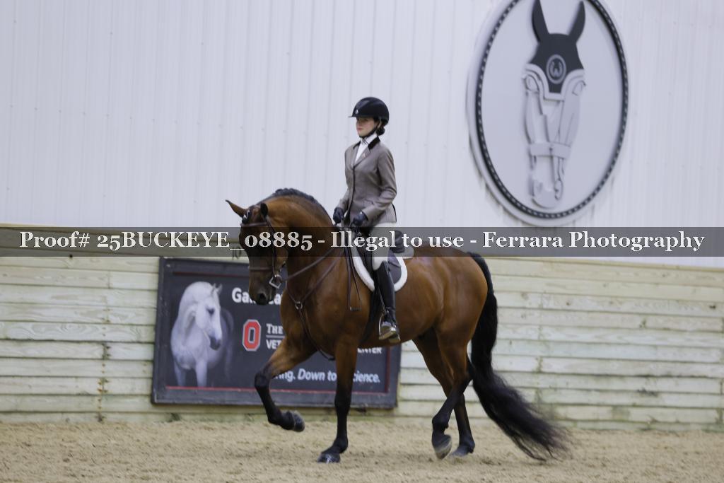 Proof Number 25BUCKEYE_08885