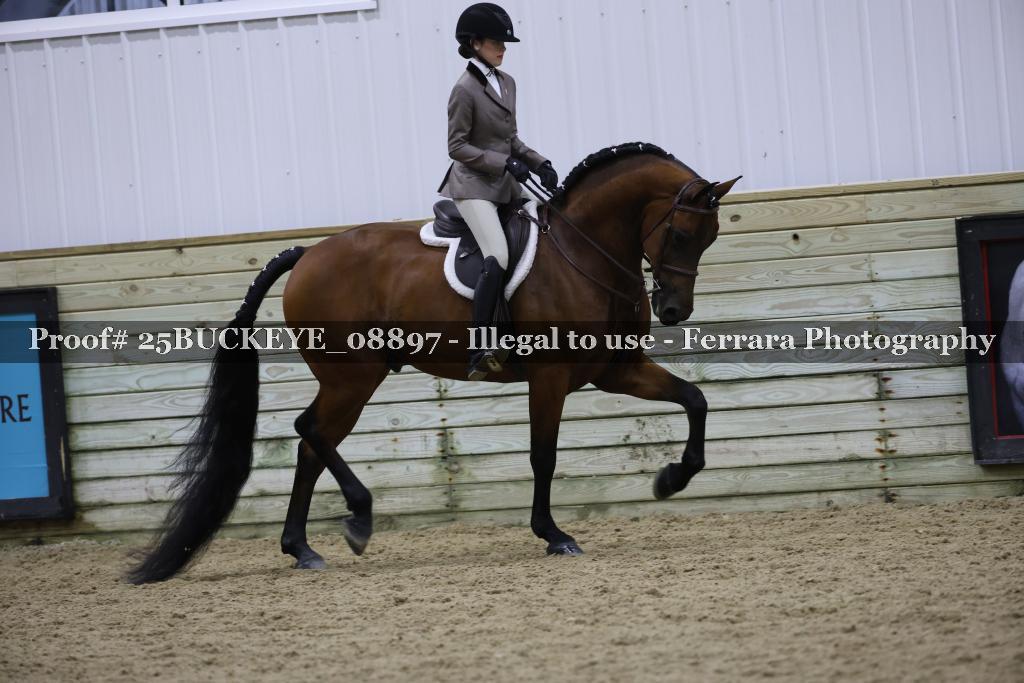 Proof Number 25BUCKEYE_08897