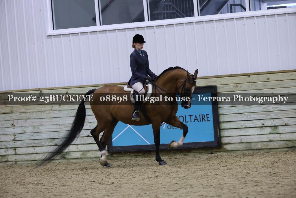 Proof Number 25BUCKEYE_08898