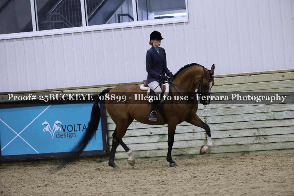Proof Number 25BUCKEYE_08899