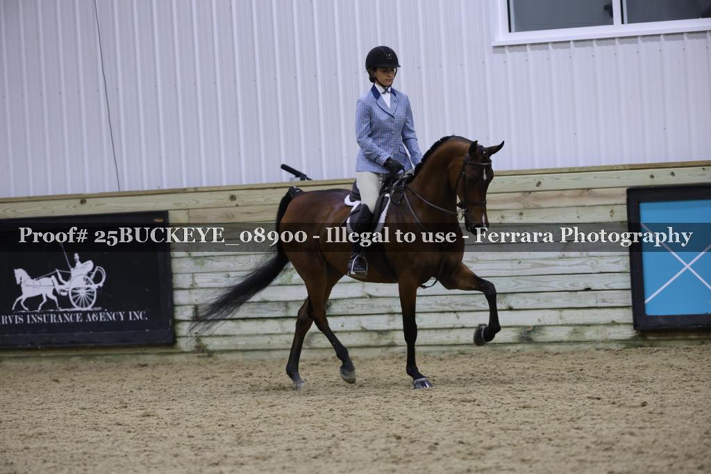 Proof Number 25BUCKEYE_08900