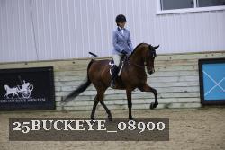 25BUCKEYE_08900 thumbnail