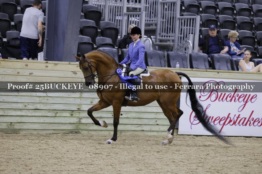 Proof Number 25BUCKEYE_08907