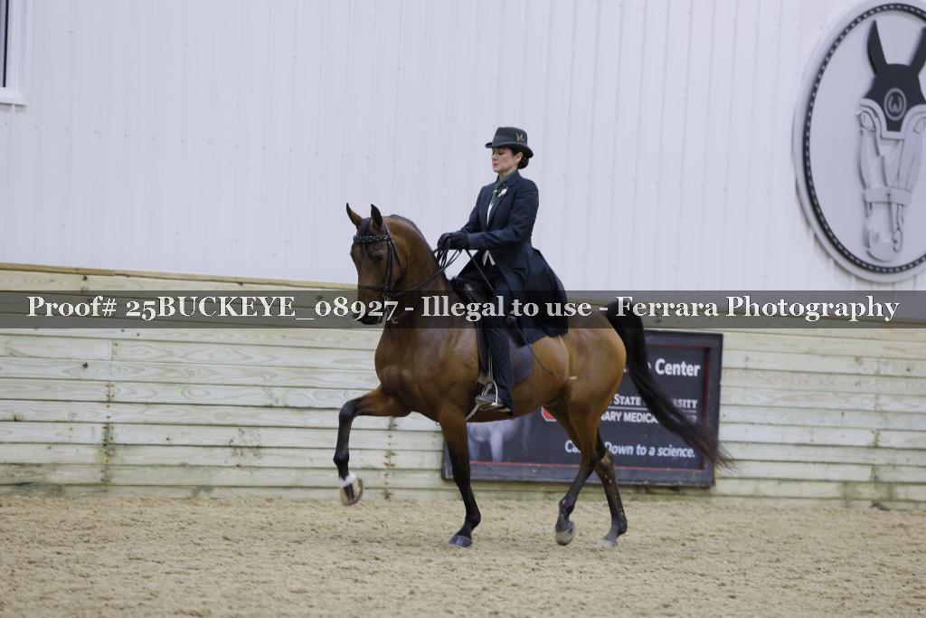 Proof Number 25BUCKEYE_08927
