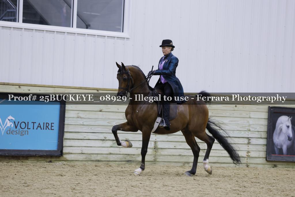 Proof Number 25BUCKEYE_08929