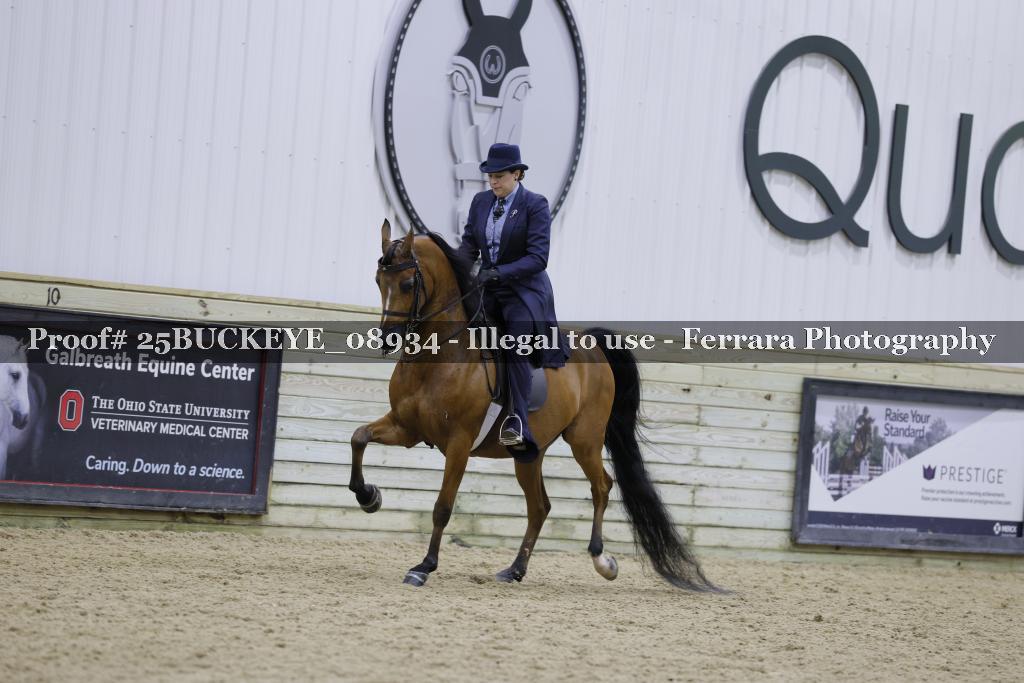 Proof Number 25BUCKEYE_08934