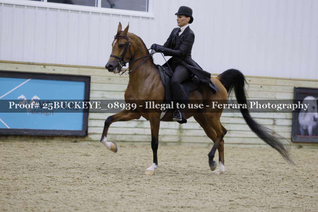 Proof Number 25BUCKEYE_08939