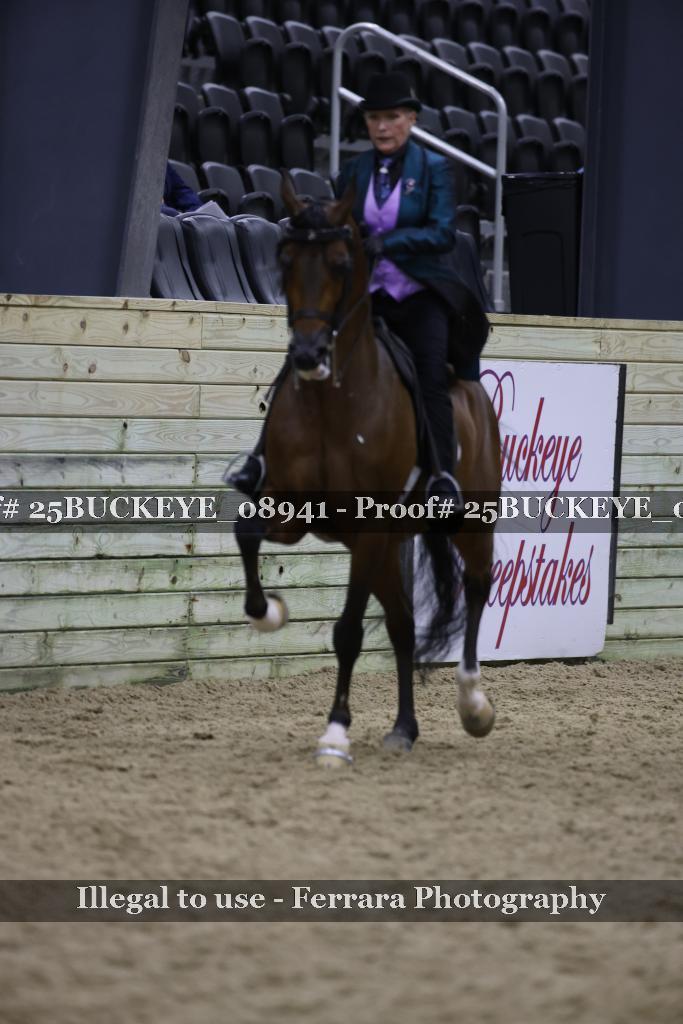 Proof Number 25BUCKEYE_08941