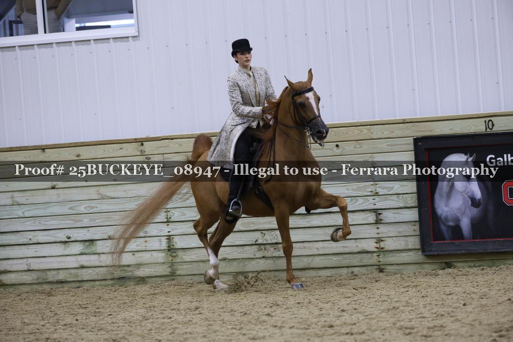 Proof Number 25BUCKEYE_08947