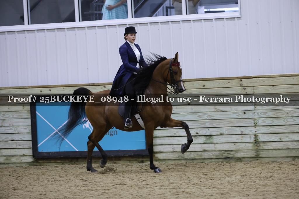 Proof Number 25BUCKEYE_08948