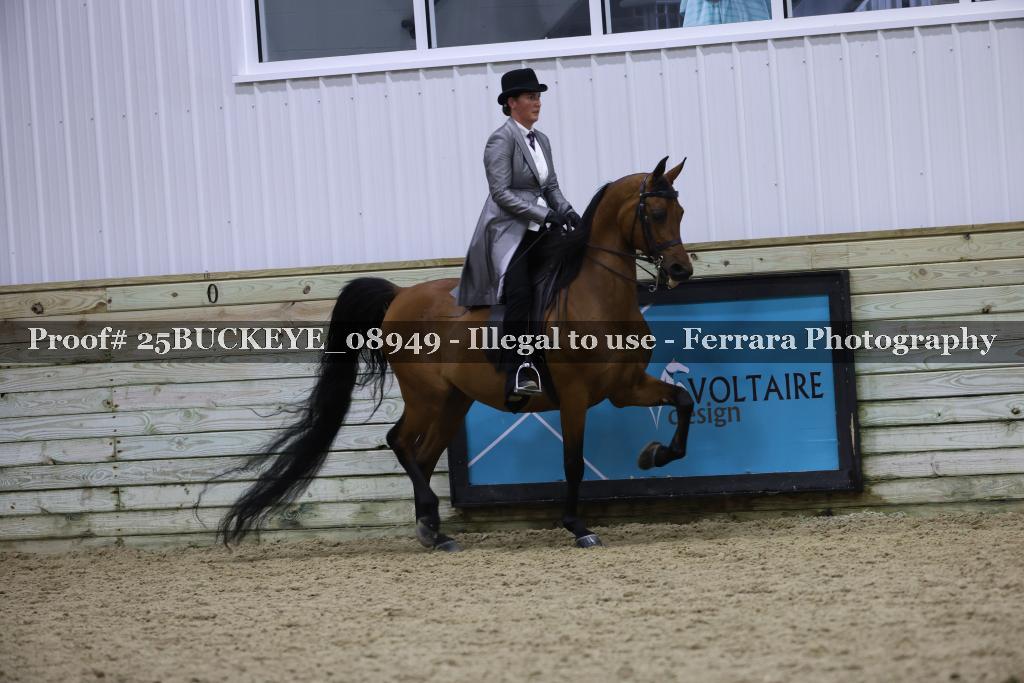 Proof Number 25BUCKEYE_08949