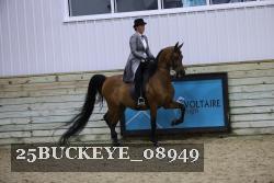 25BUCKEYE_08949 thumbnail