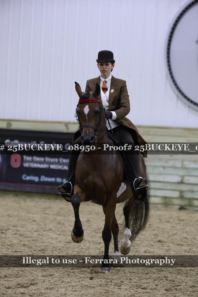 Proof Number 25BUCKEYE_08950