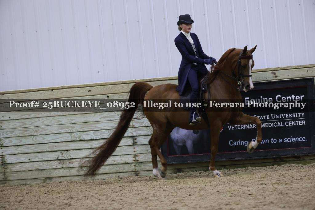Proof Number 25BUCKEYE_08952