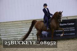 25BUCKEYE_08952 thumbnail