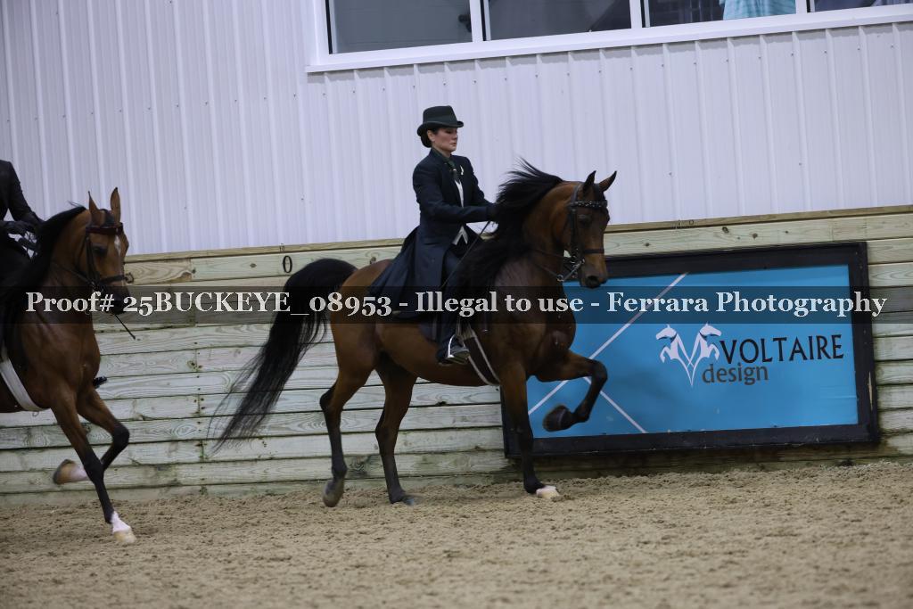 Proof Number 25BUCKEYE_08953