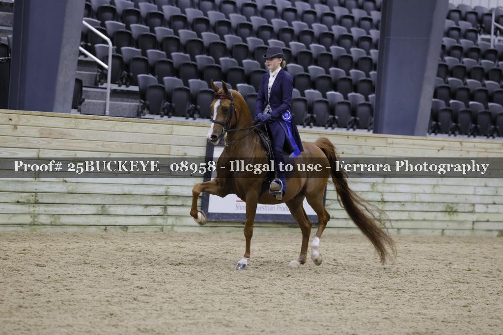 Proof Number 25BUCKEYE_08958