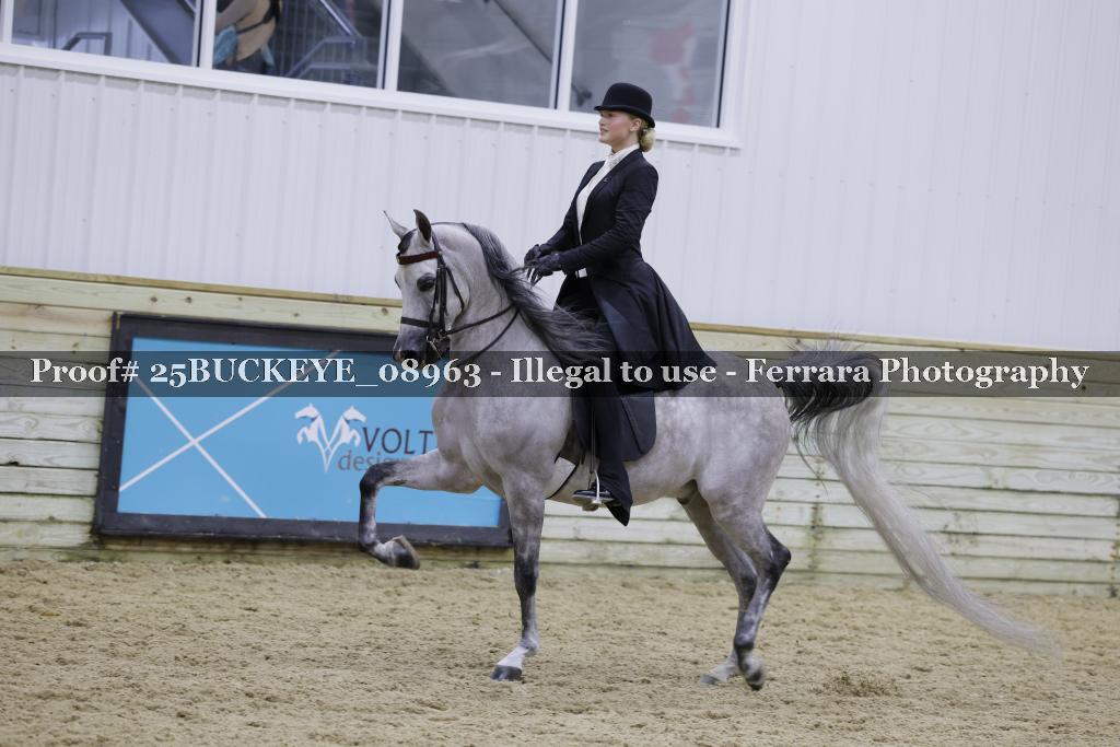 Proof Number 25BUCKEYE_08963
