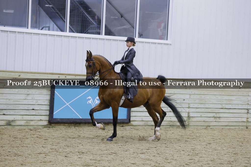 Proof Number 25BUCKEYE_08966