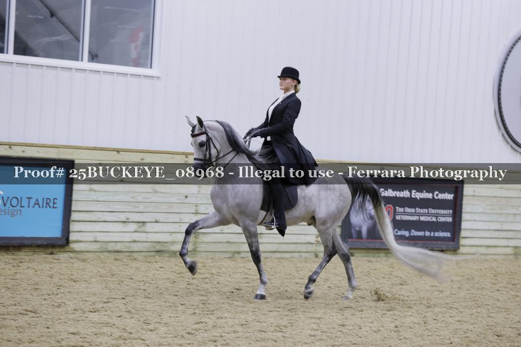Proof Number 25BUCKEYE_08968