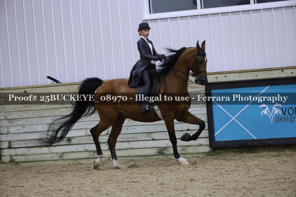 Proof Number 25BUCKEYE_08970