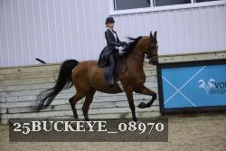 25BUCKEYE_08970 thumbnail