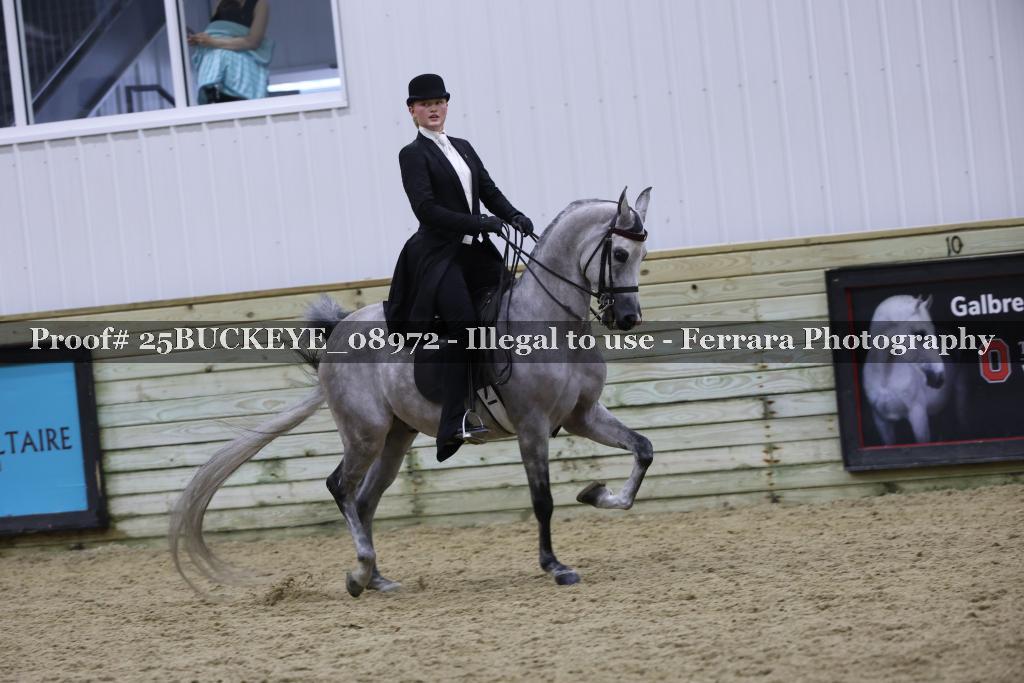 Proof Number 25BUCKEYE_08972