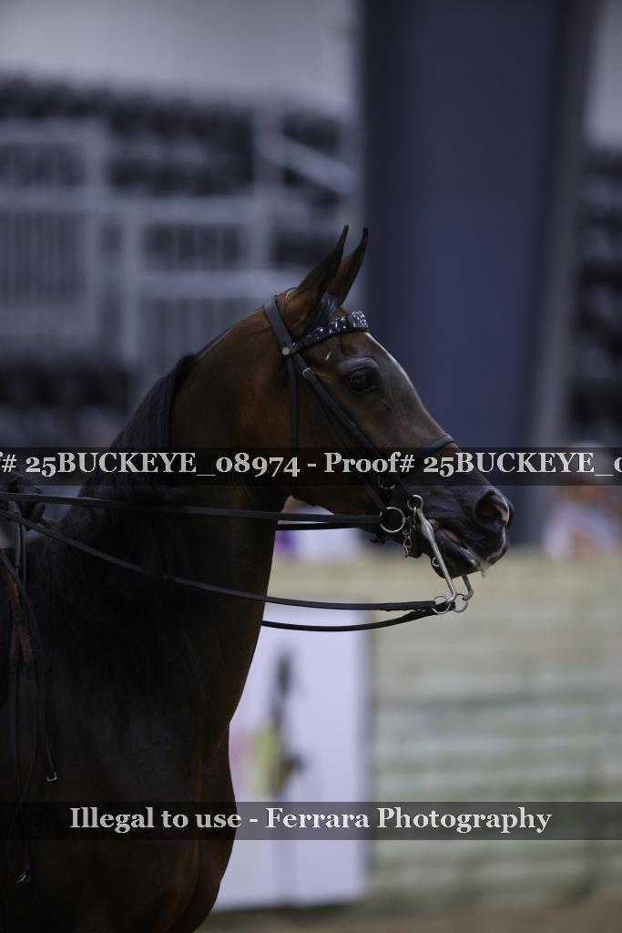 Proof Number 25BUCKEYE_08974