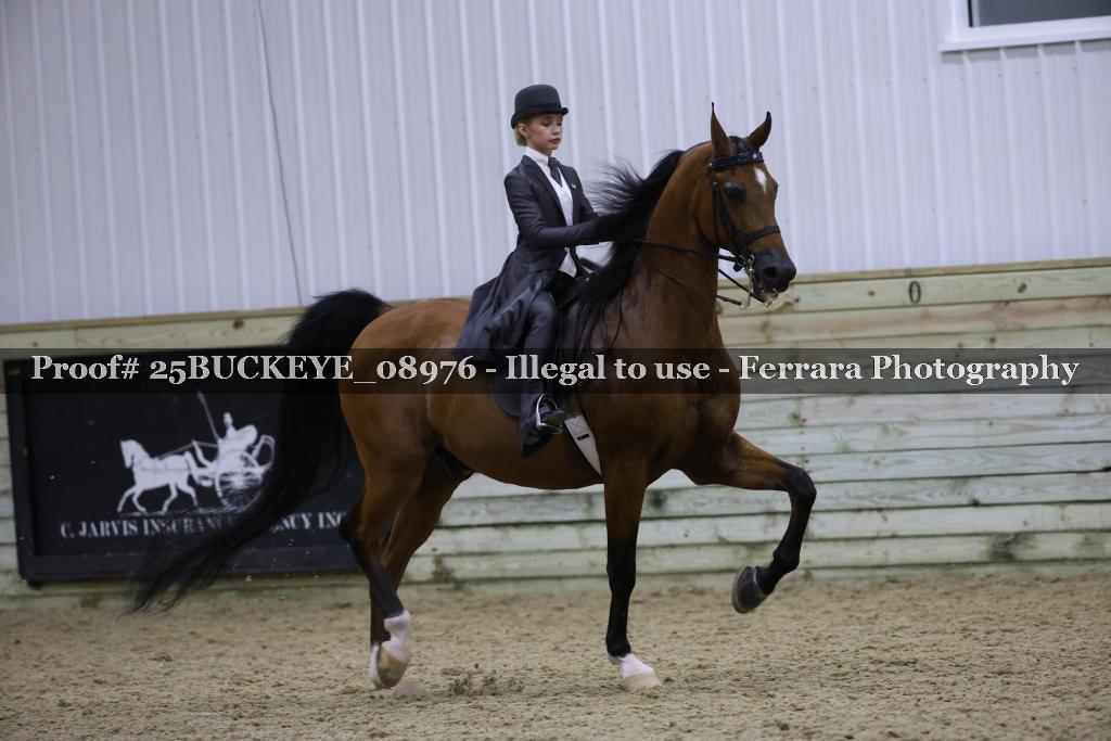 Proof Number 25BUCKEYE_08976
