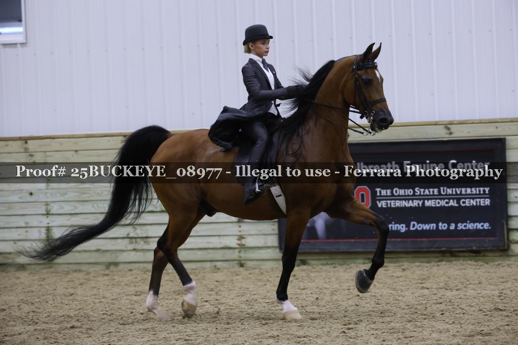 Proof Number 25BUCKEYE_08977