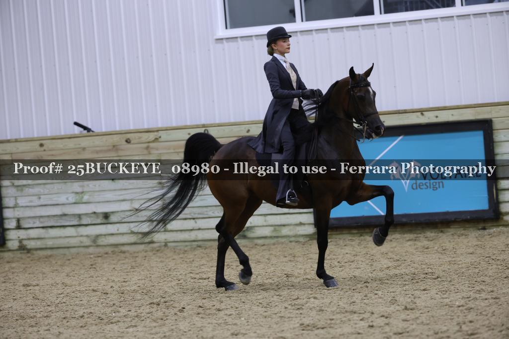 Proof Number 25BUCKEYE_08980