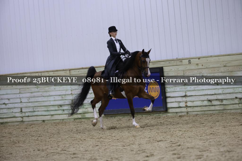 Proof Number 25BUCKEYE_08981