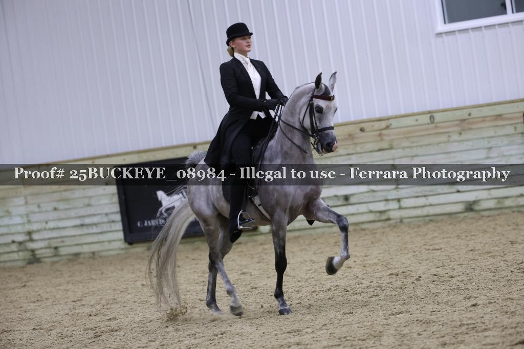 Proof Number 25BUCKEYE_08984